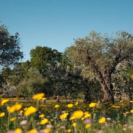 Borgo Dei Trulli Fanelli Villa *