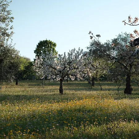 Borgo Dei Trulli Fanelli Castellana Grotte