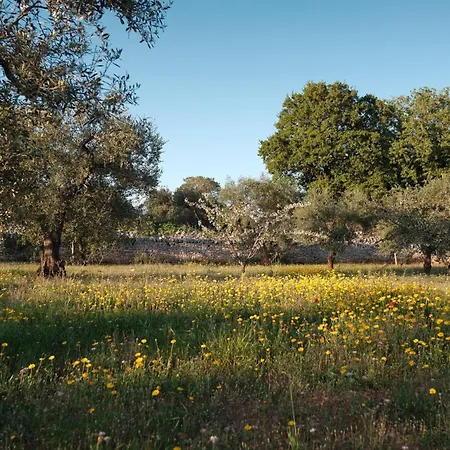 别墅 Borgo Dei Trulli Fanelli