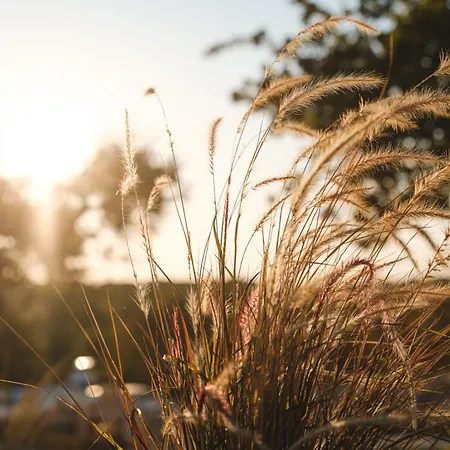 Borgo Dei Trulli Fanelli Castellana Grotte