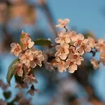 Borgo Dei Trulli Fanelli 빌라 카스텔라나그로테