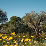 Borgo Dei Trulli Fanelli וילה *