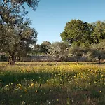 Villa Borgo Dei Trulli Fanelli