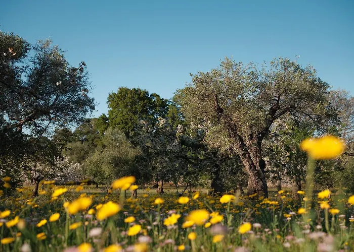 Borgo Dei Trulli Fanelli Villa *
